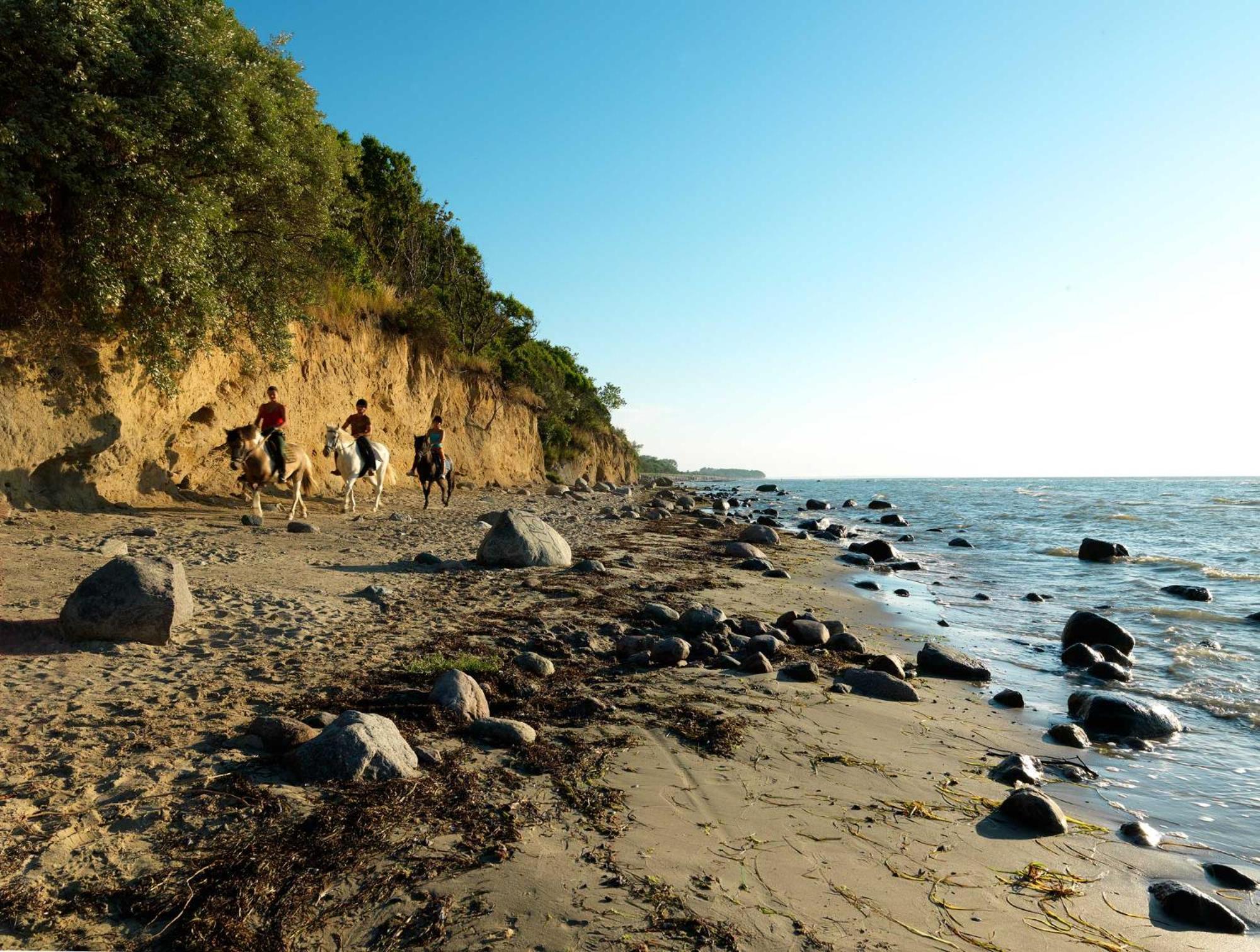 Daenische Ferienhaeuser Am Salzhaff Haus Pacific Insel Poel Exterior foto